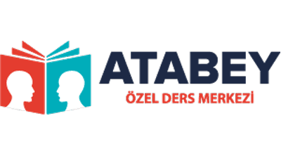Atabey Private Lessons 139% Increase in Organic Traffic Over 6 Months