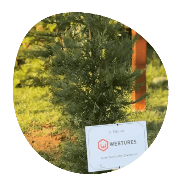 Carbon-neutral roadmap illustration